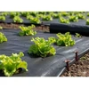 Chomik Agroplėvelė nuo piktžolių 1 x 10 m, juoda, 50 g/m²