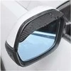 Automobilio veidrodėlio stogelis "Carbon"