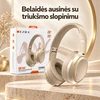 Belaidės ausinės su aktyviu triukšmo slopinimu EZRA BW95 Auksinės