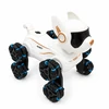 Interaktyvus nuotoliniu būdu valdomas robotas šuo TR2384C