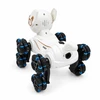 Interaktyvus nuotoliniu būdu valdomas robotas šuo TR2384C