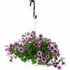 LAIKIKLIS KABINAMIEMS VAZONAMS