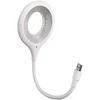 Lanksti USB lemputė