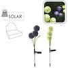 LED sodo dekoracija „Česnakas“ , 68 cm
