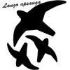 Lipdukas Apsaugai Nuo Paukščių Atsitrenkimo Į Langus