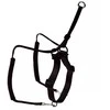 M treniruočių petnešos šunims Hunter