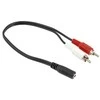 Hertz Perėjimas 3.5mm - RCA