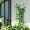 Prosperplast augalų atrama floo supports 60x120 cm