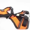 S Petnešos šunims Hunter H92731