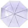 BQ13C Permatomas violetinis skėtis