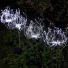 Sodo dekoracijos "Firework" 2 vnt.