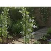 Sodo pergola su dekoracijomis 140 × 38 × 240 cm