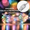 LED girlianda, 100 LED, 10 m, USB, spalvota