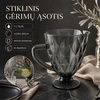 Stiklinis ąsotis "Juodas"