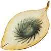 Stiklinis dekoratyvinis indas, 54×28×13 cm