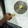 Stiklo plaktukas/muštukas"ResQme" su saugos diržo nupjovimo peiliu