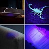 UV Spindulių Prožektorius