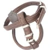 XS Petnešos Hunter