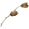 Décopatch Magnolija