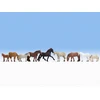 Noch Žirgai