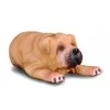 COLLECTA šuo Shar Pei S 88194 šuniukas 5cm