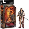 Hasbro Dungeons &amp; Dragons Auksinis archyvas Holga