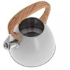 Klausberg KB-7264 3L nerūdijančio plieno švilpiantis virdulys visoms viryklėms