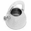 Klausberg KB-7261 nerūdijančio plieno virdulys su švilpimu, 3 l