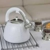 Klausberg KB-7261 nerūdijančio plieno virdulys su švilpimu, 3 l