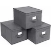 Leobert Organizatorius x3 - RFB03G