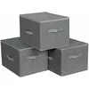 Leobert Organizer x3 - RYZB03G