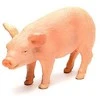 Mojo Figūrėlė Animal Planet Paršelis paršelis 5 cm