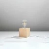 Sollux Lighting Stalinis šviestuvas ARIZ wood
