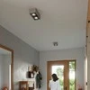 Sollux Lighting Lubinis šviestuvas QUATRO 1 betonas