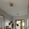 Sollux Lighting Lubinis šviestuvas QUATRO 2 iš natūralaus medžio