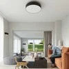 Sollux Lighting Lubinis šviestuvas SKALA 50 juodas