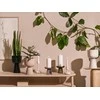 Iittala Nappula žvakidė 183mm rausva