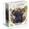 Dodo dėlionė Harry Potter (250 det.)