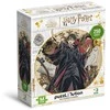 Dodo dėlionė Harry Potter (250 det.)