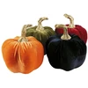 Blizgantis velvet moliūgas 13 cm – atsitiktinės spalvos