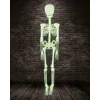 Kabantis fosforinis skeletas 150 cm