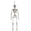 Kabantis skeletas 10*42cm