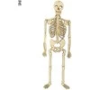 Pakabinamas skeletas 32cm