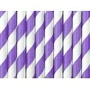 Party Deco Popieriniai šiaudeliai balta-violetinė