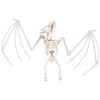 Šikšnosparnio skeletas 16 × 30 cm – Helovino dekoracija