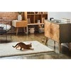 Petcube – PETCUBE PLAY 2 Smart HD naminių gyvūnėlių kamera su lazeriniu žaislu, 160° fotoaparato vaizdas – (854592007233)
