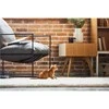 Petcube – PETCUBE PLAY 2 Smart HD naminių gyvūnėlių kamera su lazeriniu žaislu, 160° fotoaparato vaizdas – (854592007233)