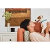 Petcube – PETCUBE PLAY 2 Smart HD naminių gyvūnėlių kamera su lazeriniu žaislu, 160° fotoaparato vaizdas – (854592007233)