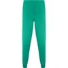 Roly Unisex ilgos tiesios kelnės FIBER Lab žalia