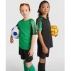 Roly Unisex sportinis komplektas, kurį sudaro 2 marškinėliai + 1 pora šortų JUVE Paparčio žalia/juoda